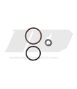 KIT DE LIGAS INTERNAS Y EXTERNAS - ID-34 - PARA INYECTOR  MAXXFORCE I313 - AP66976, 1841491C91